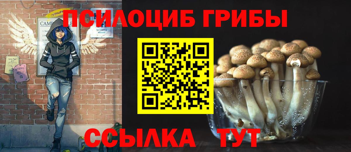 Галлюциногенные грибы Psilocybine cubensis Кондопога